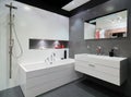 Modern grey bathroom