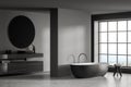 Modern grey bathroom with floor to ceiling window Royalty Free Stock Photo
