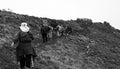 Modern group excursion among the bristling hills of the Apuan Alps on a cold day at Pasquilio