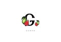 Red GUAVA FRUIT Vector, Great combination of Guava symbol with letter G Royalty Free Stock Photo