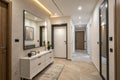 Modern hallway interior with mirror and storage unit Royalty Free Stock Photo