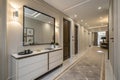 Modern hallway interior with mirror and storage unit Royalty Free Stock Photo