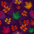 A Modern, Hand Drawn Colorful, Vibrant Fall Leaves on a Purple Background. Royalty Free Stock Photo