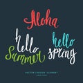 Modern hand drawn lettering word Aloha, hello summer and spring.