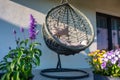 Modern hanging rattan chair with gray pillow and flowers on the summer garden terrace Royalty Free Stock Photo