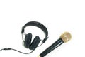 Modern headphone with Gold microphone