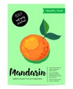 Modern healthy food poster with mandarin.