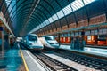 Modern hi-speed passenger train of Spanish railways company-Renf