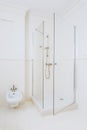 Modern high gloss shower