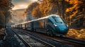 Modern high speed passenger train moving through the forest at sunset Royalty Free Stock Photo