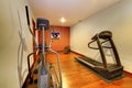 Modern home gym in the basement.