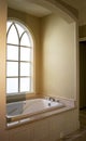 Modern home interior bathroom bath tub