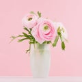 Modern home interior in pastel pink color with sweet buttercup flower in white frosted glass vase on soft light white wood table.