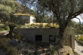 Modern home surrounded by olive trees, constructed on terraced land. The house is made of raw concrete