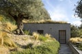 Modern home surrounded by olive trees, constructed on terraced land.
