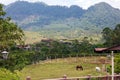 Modern horse stable and riding school in barn at farm with mountains and houses jungle in background Royalty Free Stock Photo