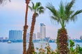 High-rises of Rhoda Island behind the palms, Giza, Egypt