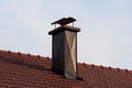 Modern house chimney with metal protection on all sides and wavy shield on top