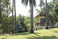 Modern house in coconut garden