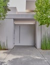 modern house entrance metallic door and bamboo plants