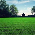 Modern house with green grass field