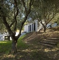 Modern house surrounded by olive trees, built on terraced land. The house has wooden steps and green grass