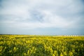 Modern housing construction among agricultural fields in Bulgaria Royalty Free Stock Photo