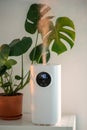 Modern humidifier at home, moistens dry air surrounded by indoor plant. Apartment with moisturizer.