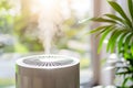 Modern humidifier misting in sunlight room