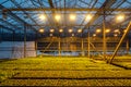 Modern hydroponic greenhouse with complex climate control system for cultivation of agricultural and ornamental plants Royalty Free Stock Photo