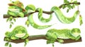 Modern illustration of cute serpent mascots sleeping, showing likes and dislikes, angry and hanging on a branch in a zoo