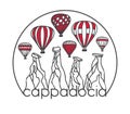 Modern illustration of a famous turkish travel destination Cappadocia.