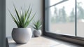 Modern Indoor Plants on Sleek Windowsill