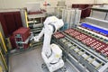 Modern industrial robot in food company - industrial production of bakery products on an assembly line