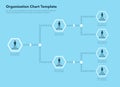 Modern infographic for company organizational structure - blue version