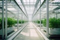 Modern Intelligent Glass Greenhouse for Agriculture.