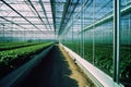 Modern Intelligent Glass Greenhouse for Agriculture.