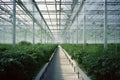 Modern Intelligent Glass Greenhouse for Agriculture.