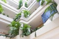 Modern Interior Building with luxuriant green plants