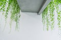 Modern Interior with Cascading Greenery Greenery and Architecture Royalty Free Stock Photo
