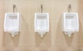 Modern interior design of white ceramic urinals Royalty Free Stock Photo