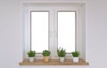 Modern interior design white window with wooden sill and spices in pots, 3d illustration, 3d rendering