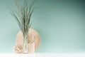 Modern interior in farmhouse style - bamboo plate, sheaf of cane in glass bottle, decorative round sheaf of twigs, sticks on green