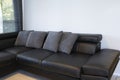 Modern interior of living room with comfortable black leather sofa