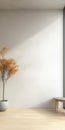 Modern interior with a minimalist design showcasing a potted tree and bright sunlight streaming through a large window Royalty Free Stock Photo