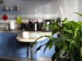 Modern interior. Defocus blie kitchen on the background.