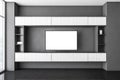 Modern interior. Television mockup screen in wooden and grey room