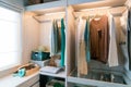 Modern interior wardrobe with shirt and dress in shelf.