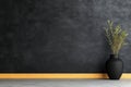 Modern interior with wooden paneling and black stucco concrete wall. Pot with grass adds a touch of greenery. 3D renderi Royalty Free Stock Photo