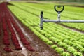 Modern irrigation system - details Royalty Free Stock Photo